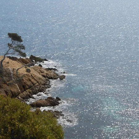 호텔 Sowell Du Golfe De Saint-tropez 4*