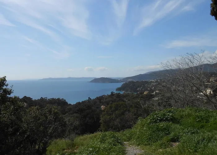 Sowell Du Golfe De Saint-tropez